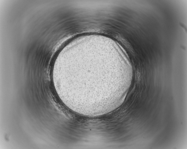 X0000102400628200808291446