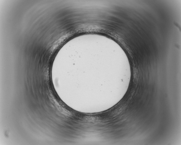 X0000102400629200808291446