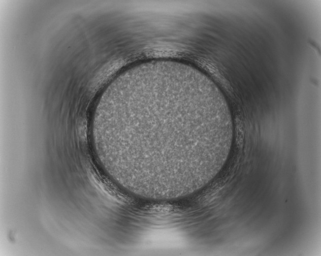X0000102400631200808291446