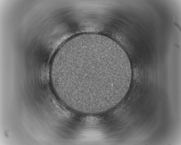 X0000102400632200808291446