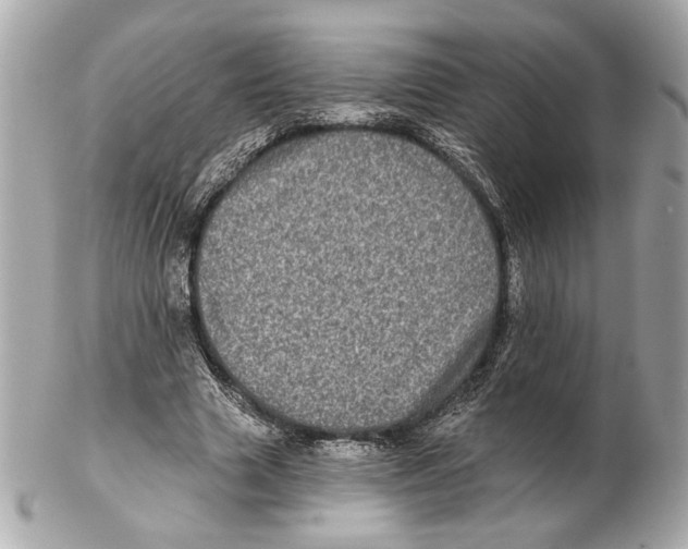 X0000102400633200808291446
