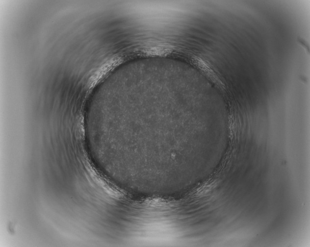 X0000102400634200808291446