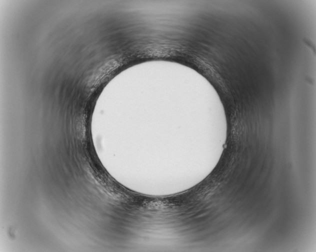 X0000102400635200808291446