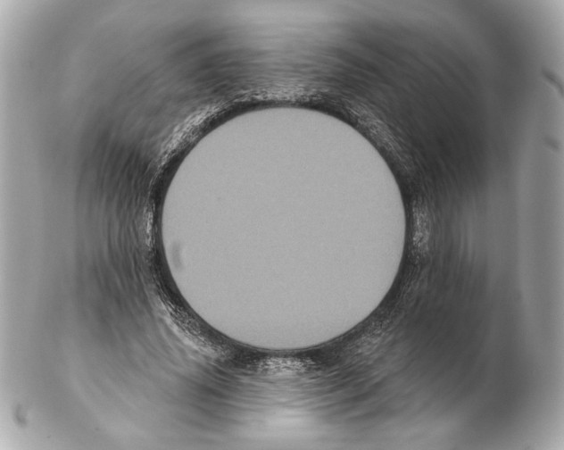 X0000102400636200808291446