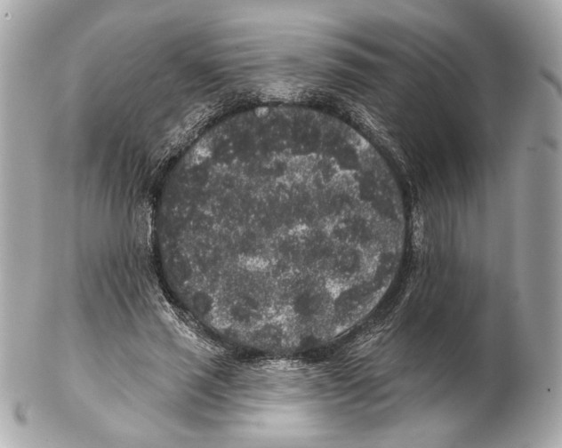 X0000102400637200808291446