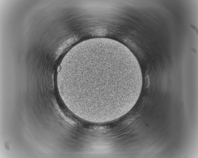X0000102400638200808291446