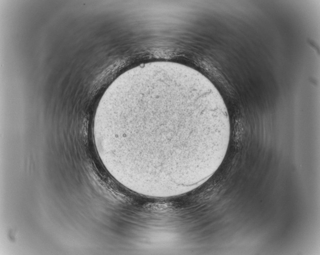 X0000102400639200808291446