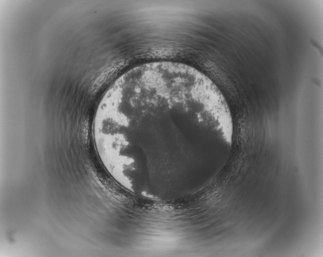 X0000102400640200808291446