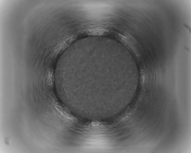 X0000102400641200808291446