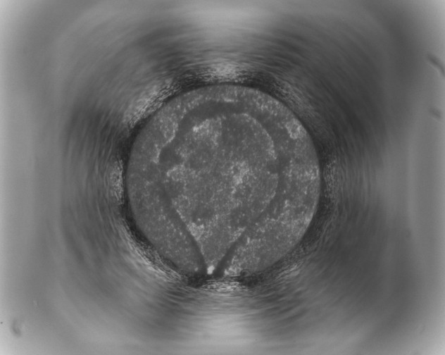 X0000102400642200808291446