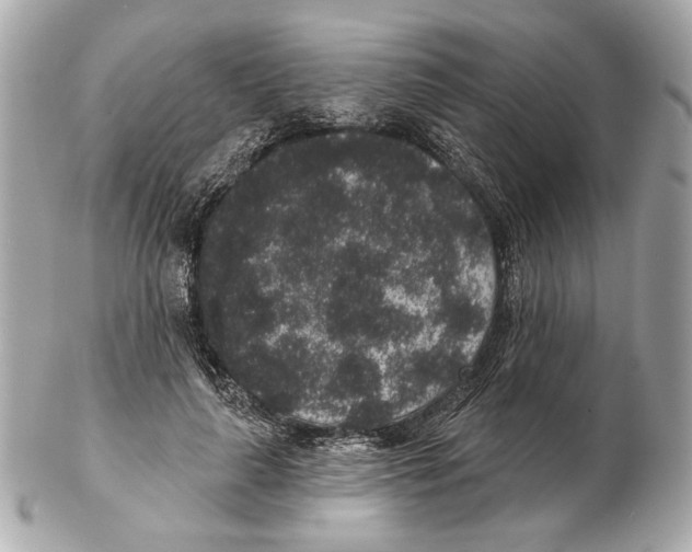 X0000102400643200808291446