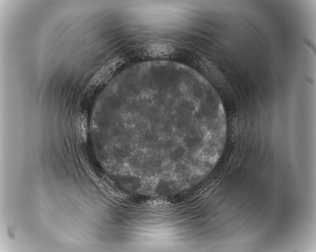 X0000102400644200808291446