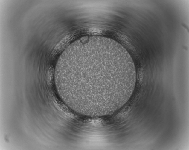 X0000102400645200808291446