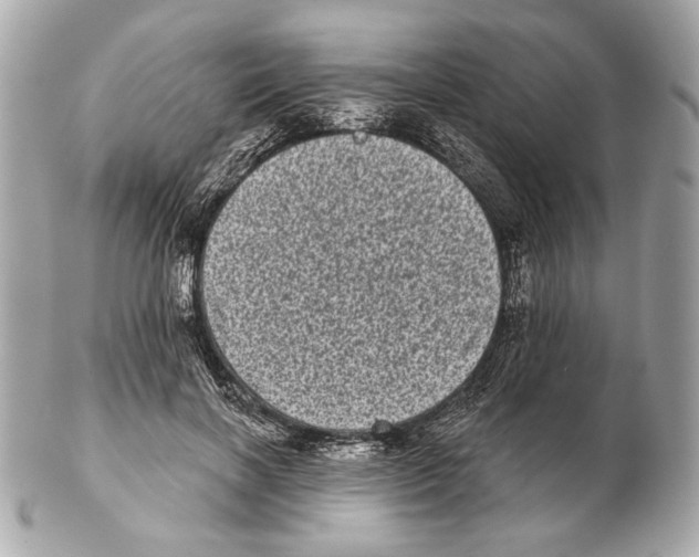 X0000102400646200808291446