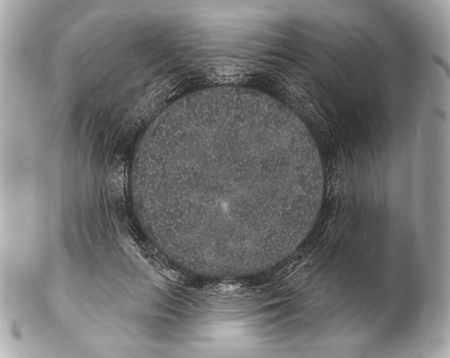 X0000102400647200808291446