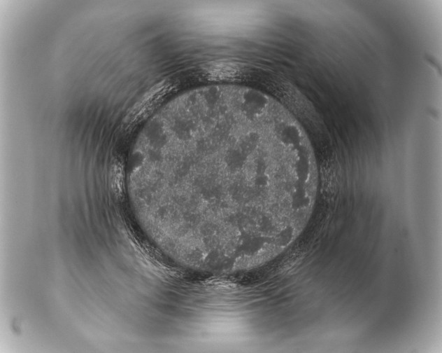 X0000102400648200808291446