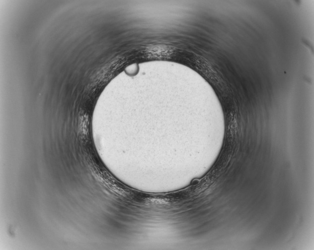 X0000102400649200808291446