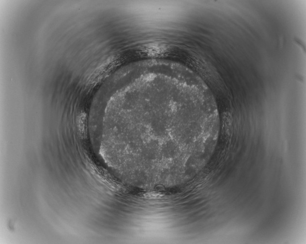 X0000102400650200808291446