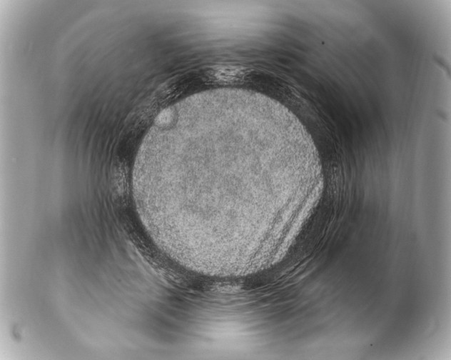 X0000102400651200808291446