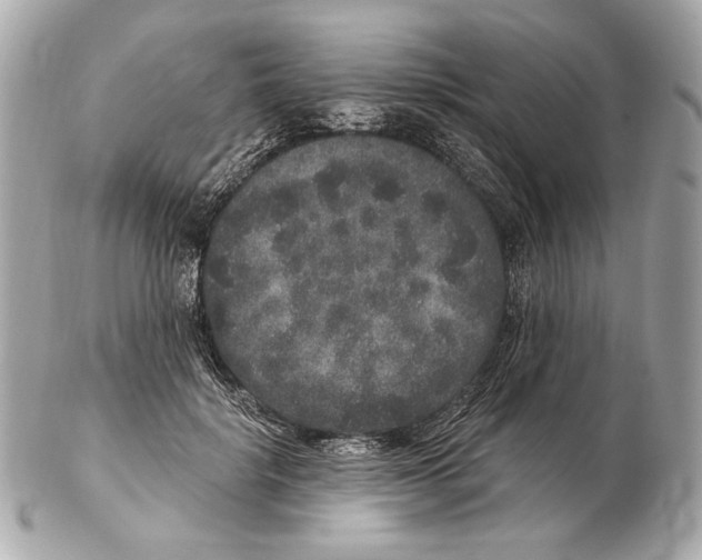 X0000102400652200808291446