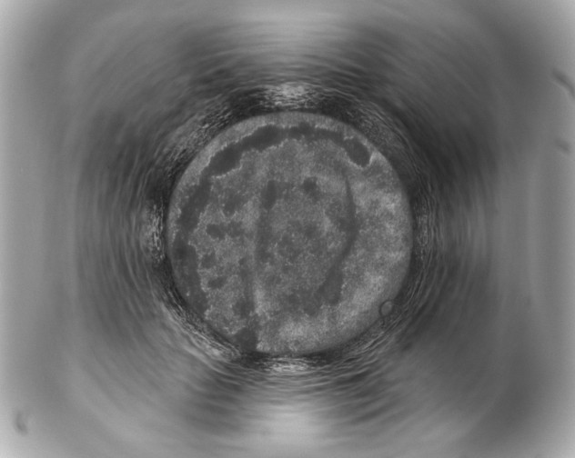 X0000102400653200808291446
