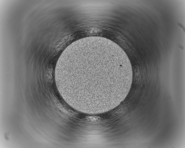 X0000102400654200808291446