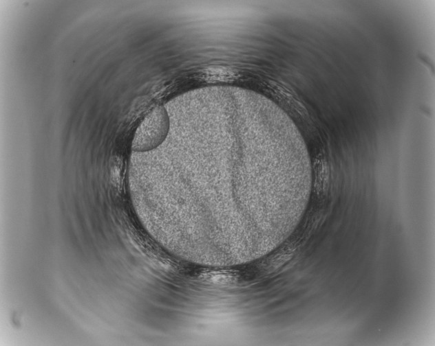 X0000102400655200808291446