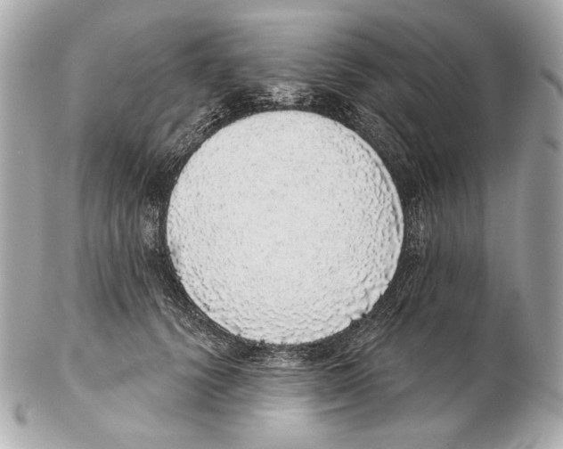 X0000102400656200808291446