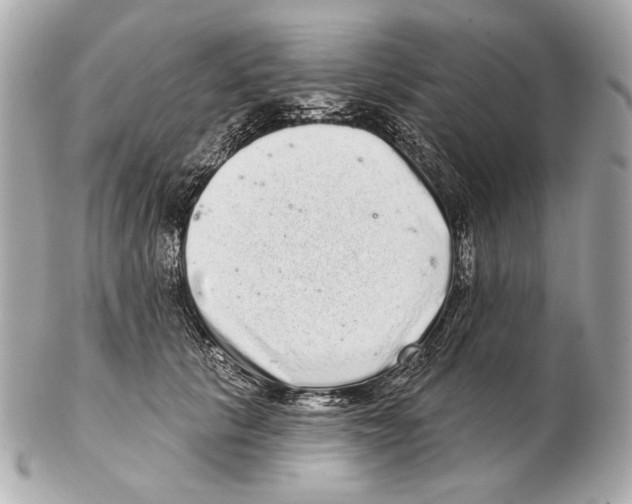 X0000102400657200808291446