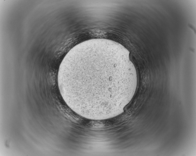 X0000102400658200808291446