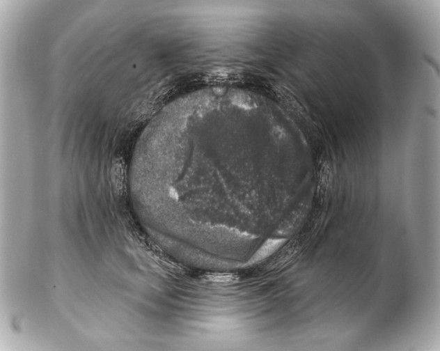 X0000102400659200808291446