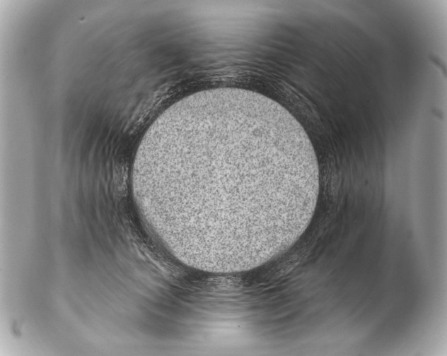 X0000102400660200808291446