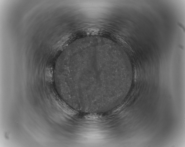 X0000102400661200808291446