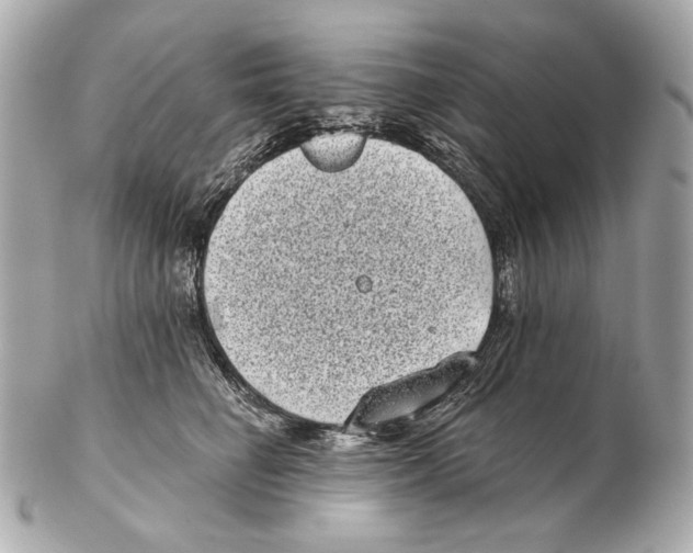 X0000102400662200808291446