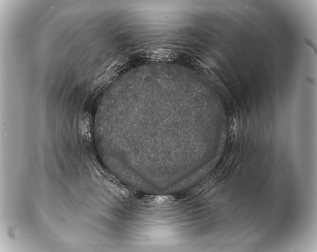 X0000102400663200808291446