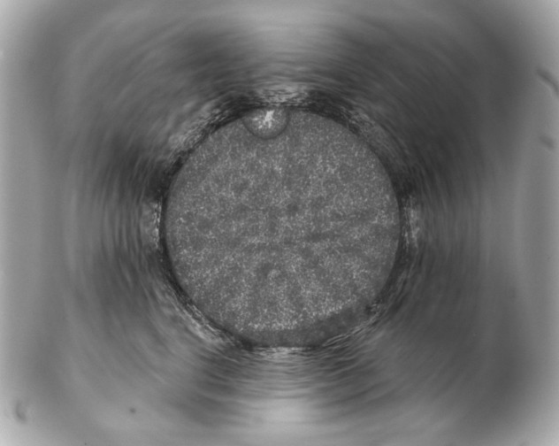 X0000102400664200808291446