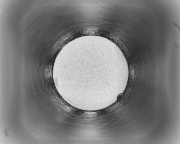 X0000102400665200808291447