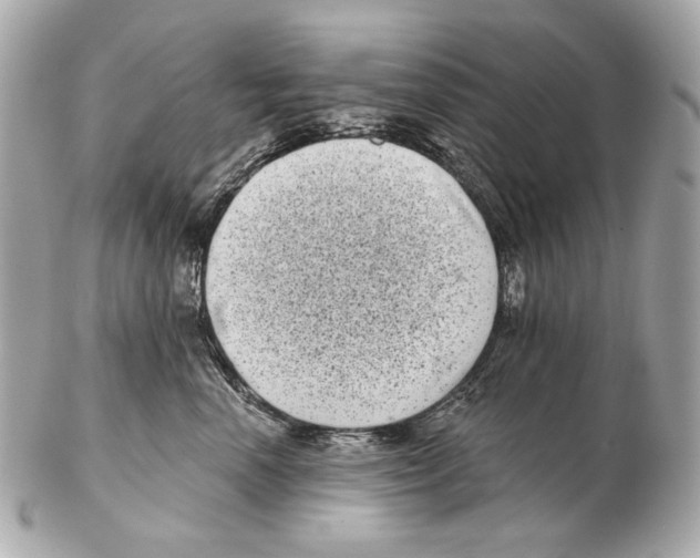 X0000102400666200808291447