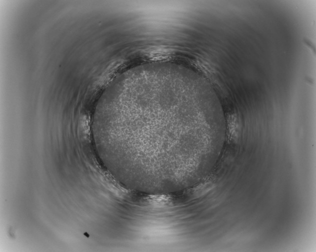X0000102400667200808291447