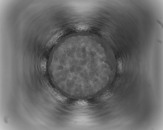 X0000102400668200808291447