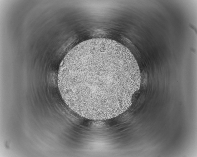X0000102400669200808291447