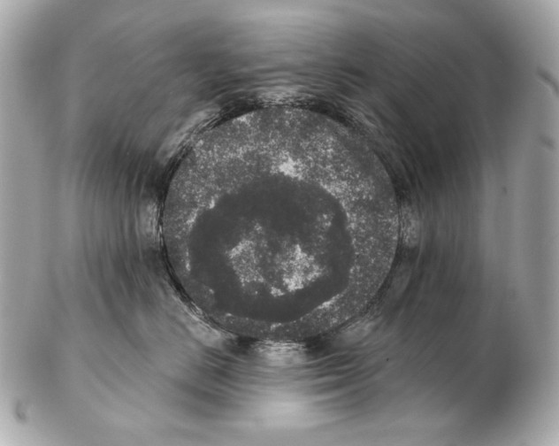 X0000102400670200808291447