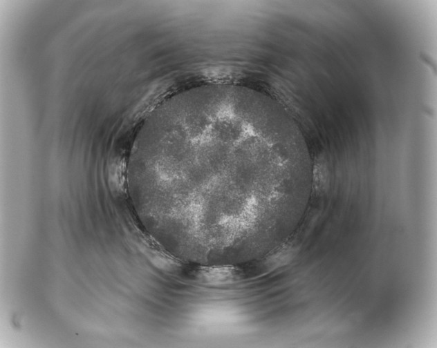 X0000102400671200808291447