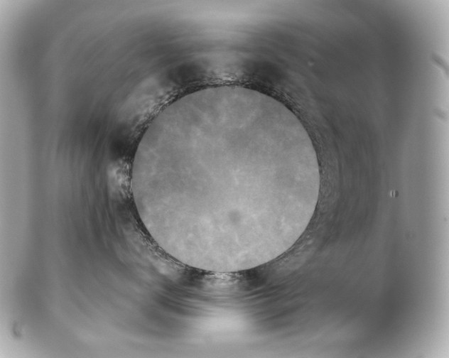 X0000102400672200808291447