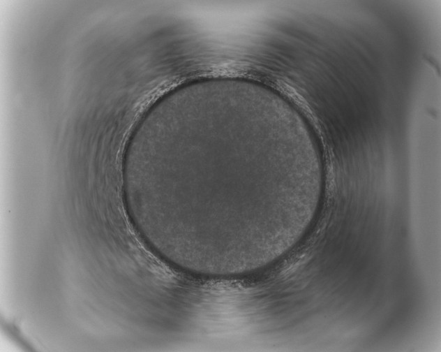 X0000102400673200808291446