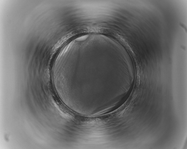X0000102400674200808291446