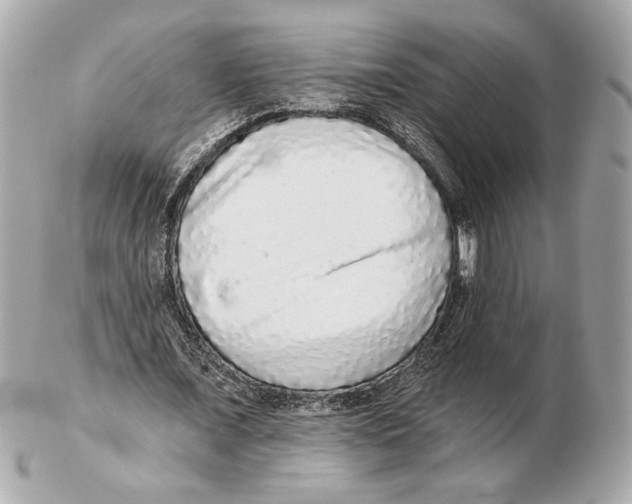 X0000102400675200808291446