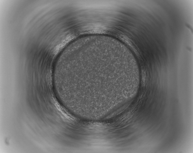 X0000102400677200808291446