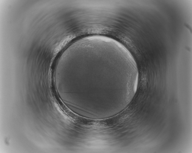 X0000102400678200808291446