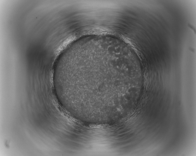 X0000102400679200808291446